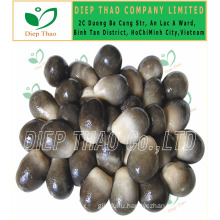 CANNED WHOLE STRAW MUSHROOM